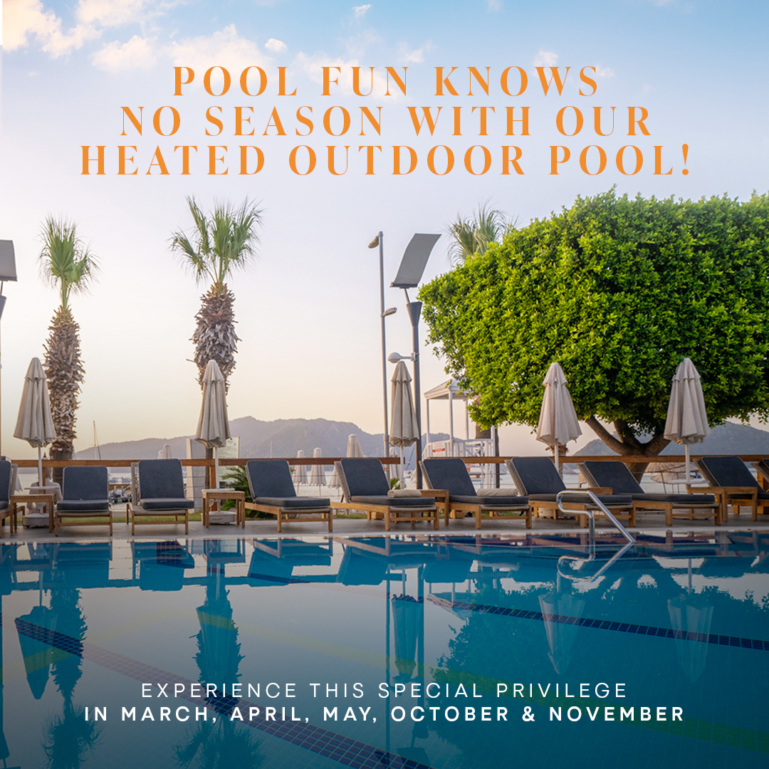 Cettia Beach Popup EN